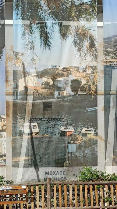 Seashell Apartment Sea View, Castle View 200Metres From The Beach سيتيا المظهر الخارجي الصورة
