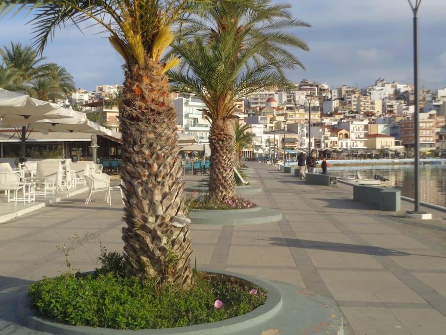 Seashell Apartment Sea View, Castle View 200Metres From The Beach سيتيا المظهر الخارجي الصورة